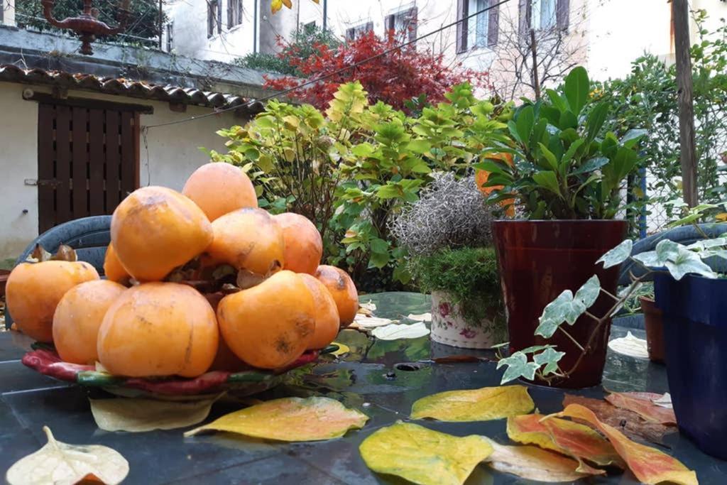 Casa Pusterla Venecia